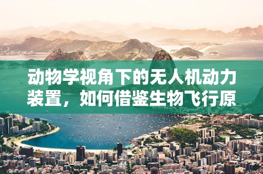 动物学视角下的无人机动力装置，如何借鉴生物飞行原理？