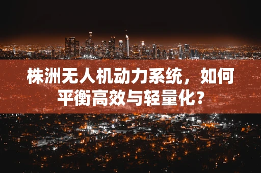 株洲无人机动力系统，如何平衡高效与轻量化？