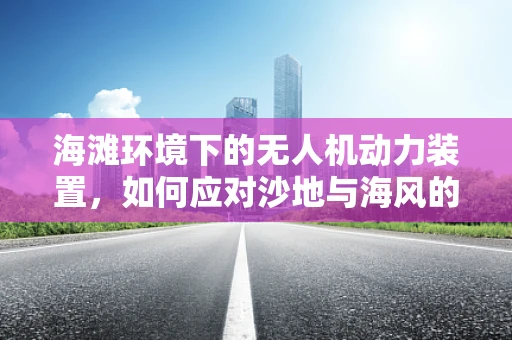海滩环境下的无人机动力装置，如何应对沙地与海风的挑战？