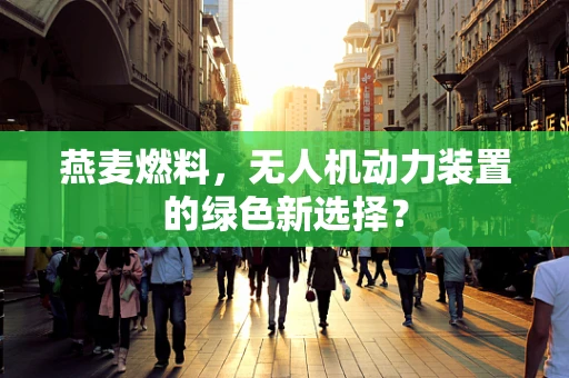燕麦燃料，无人机动力装置的绿色新选择？