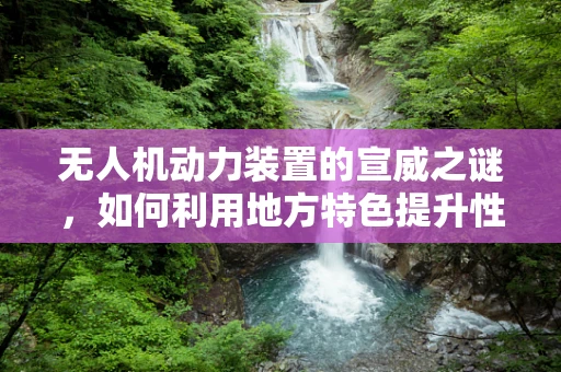 无人机动力装置的宣威之谜，如何利用地方特色提升性能？