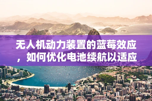无人机动力装置的蓝莓效应，如何优化电池续航以适应复杂环境？