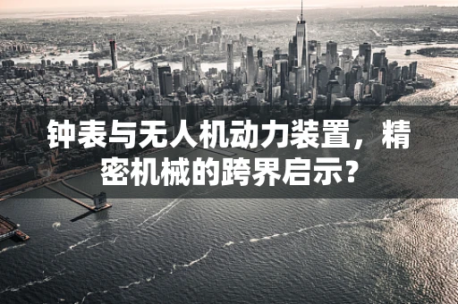 钟表与无人机动力装置，精密机械的跨界启示？