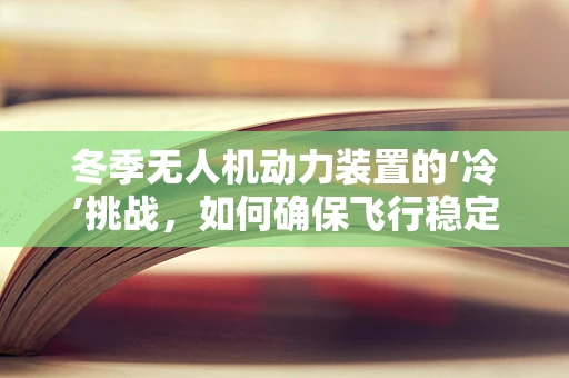 冬季无人机动力装置的‘冷’挑战，如何确保飞行稳定与安全？