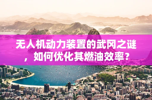 无人机动力装置的武冈之谜，如何优化其燃油效率？