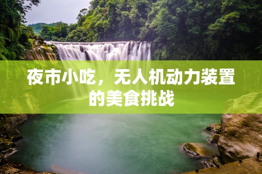 夜市小吃，无人机动力装置的美食挑战
