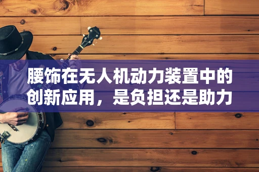腰饰在无人机动力装置中的创新应用，是负担还是助力？