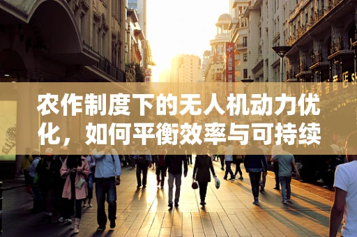 农作制度下的无人机动力优化，如何平衡效率与可持续性？