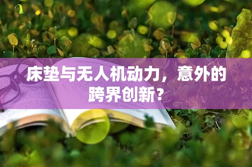 床垫与无人机动力，意外的跨界创新？