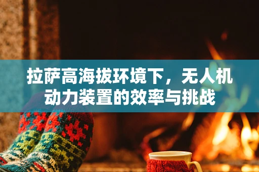 拉萨高海拔环境下，无人机动力装置的效率与挑战