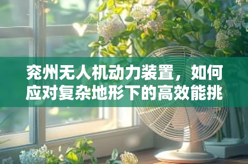 兖州无人机动力装置，如何应对复杂地形下的高效能挑战？
