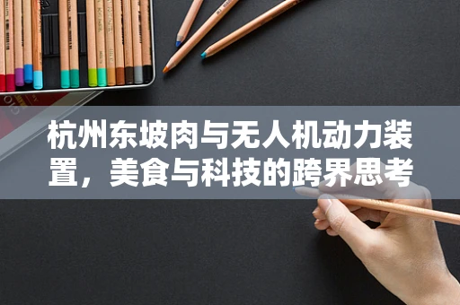 杭州东坡肉与无人机动力装置，美食与科技的跨界思考