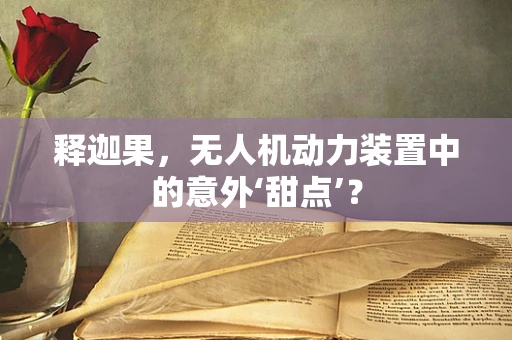 释迦果，无人机动力装置中的意外‘甜点’？