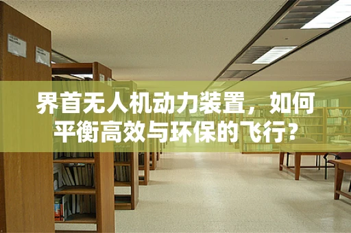 界首无人机动力装置，如何平衡高效与环保的飞行？