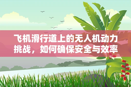 飞机滑行道上的无人机动力挑战，如何确保安全与效率？