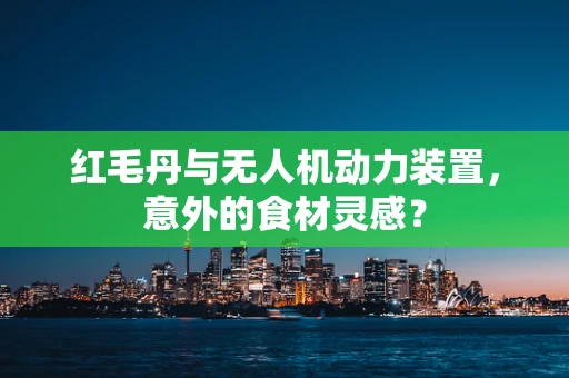 红毛丹与无人机动力装置，意外的食材灵感？