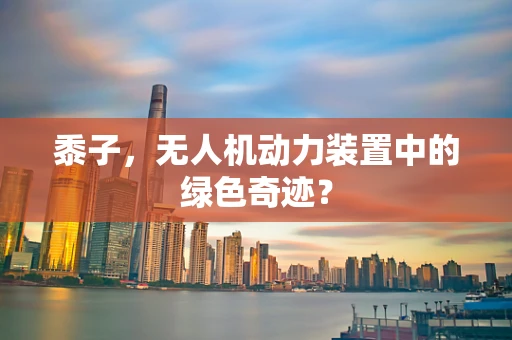 黍子，无人机动力装置中的绿色奇迹？