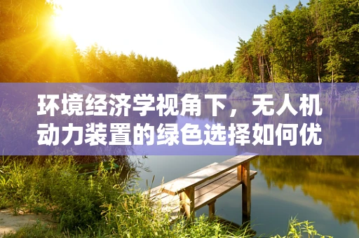 环境经济学视角下，无人机动力装置的绿色选择如何优化？