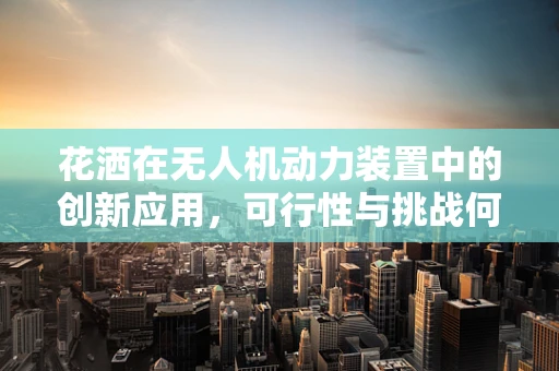 花洒在无人机动力装置中的创新应用，可行性与挑战何在？