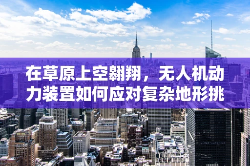 在草原上空翱翔，无人机动力装置如何应对复杂地形挑战？