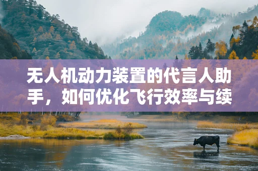 无人机动力装置的代言人助手，如何优化飞行效率与续航能力？