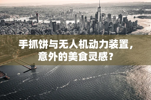 手抓饼与无人机动力装置，意外的美食灵感？
