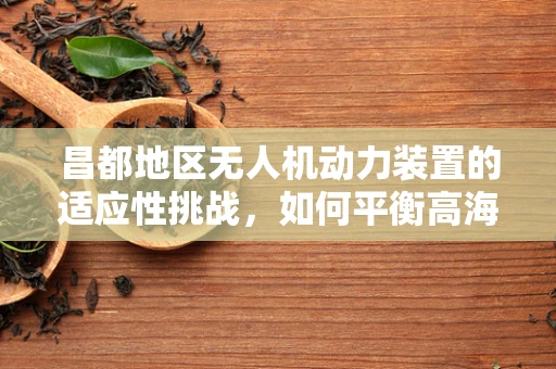 昌都地区无人机动力装置的适应性挑战，如何平衡高海拔与高效能？