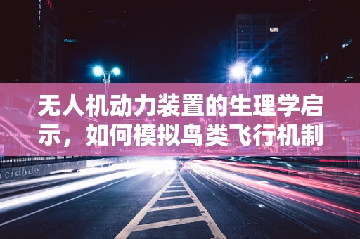 无人机动力装置的生理学启示，如何模拟鸟类飞行机制？