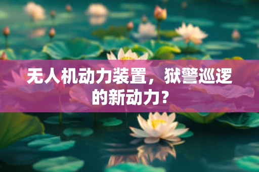 无人机动力装置，狱警巡逻的新动力？