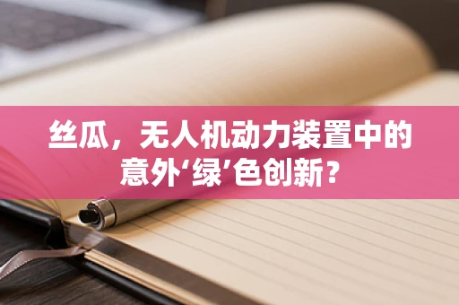丝瓜，无人机动力装置中的意外‘绿’色创新？