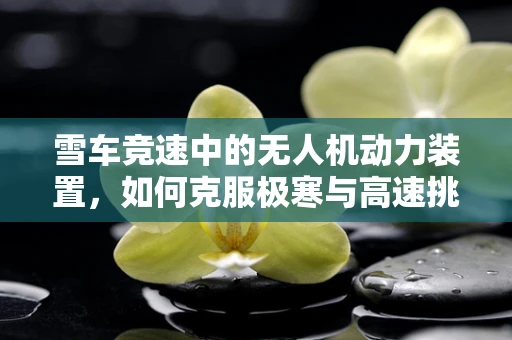 雪车竞速中的无人机动力装置，如何克服极寒与高速挑战？