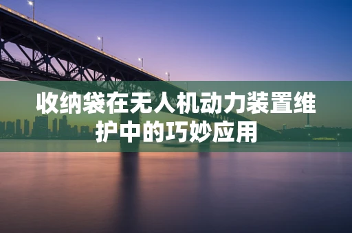 收纳袋在无人机动力装置维护中的巧妙应用