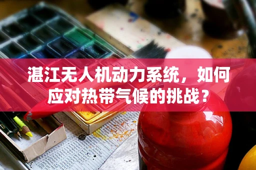 湛江无人机动力系统，如何应对热带气候的挑战？