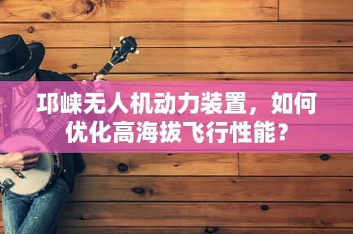 邛崃无人机动力装置，如何优化高海拔飞行性能？