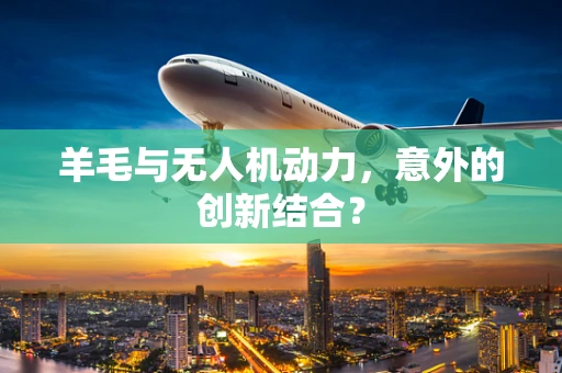 羊毛与无人机动力，意外的创新结合？