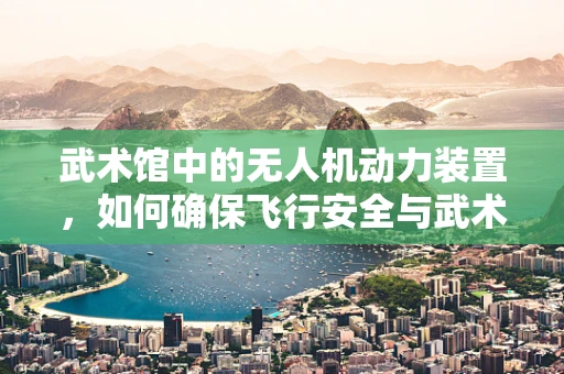 武术馆中的无人机动力装置，如何确保飞行安全与武术活动和谐共存？
