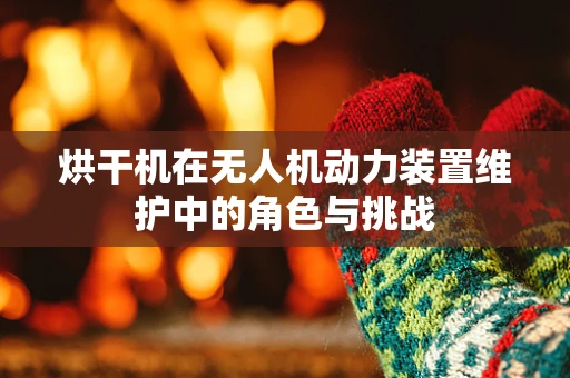 烘干机在无人机动力装置维护中的角色与挑战