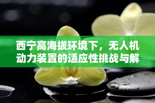 西宁高海拔环境下，无人机动力装置的适应性挑战与解决方案