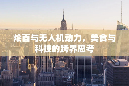 烩面与无人机动力，美食与科技的跨界思考