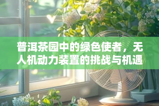 普洱茶园中的绿色使者，无人机动力装置的挑战与机遇