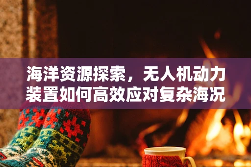 海洋资源探索，无人机动力装置如何高效应对复杂海况？