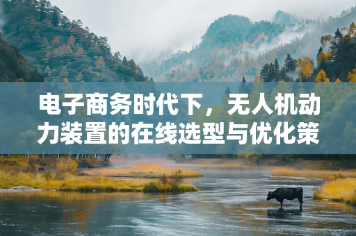 电子商务时代下，无人机动力装置的在线选型与优化策略