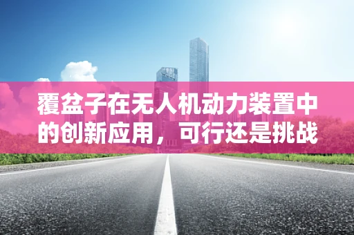 覆盆子在无人机动力装置中的创新应用，可行还是挑战？