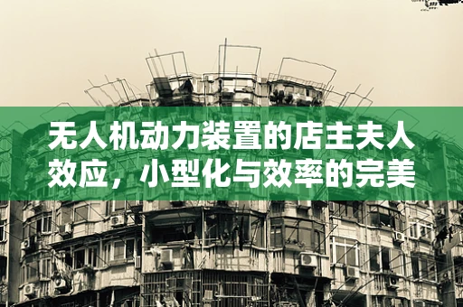无人机动力装置的店主夫人效应，小型化与效率的完美平衡？