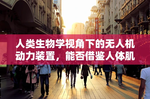 人类生物学视角下的无人机动力装置，能否借鉴人体肌肉结构？