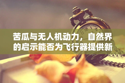苦瓜与无人机动力，自然界的启示能否为飞行器提供新动力？