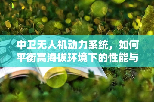 中卫无人机动力系统，如何平衡高海拔环境下的性能与效率？