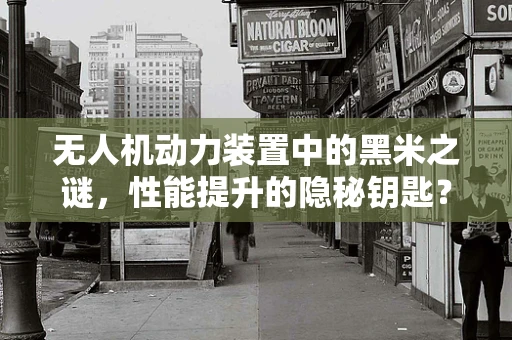 无人机动力装置中的黑米之谜，性能提升的隐秘钥匙？