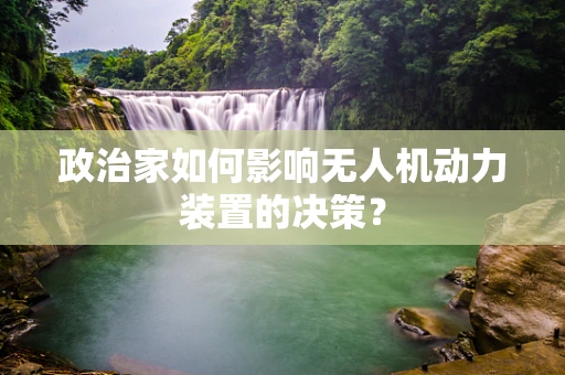 政治家如何影响无人机动力装置的决策？