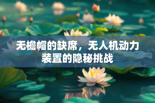 无檐帽的缺席，无人机动力装置的隐秘挑战